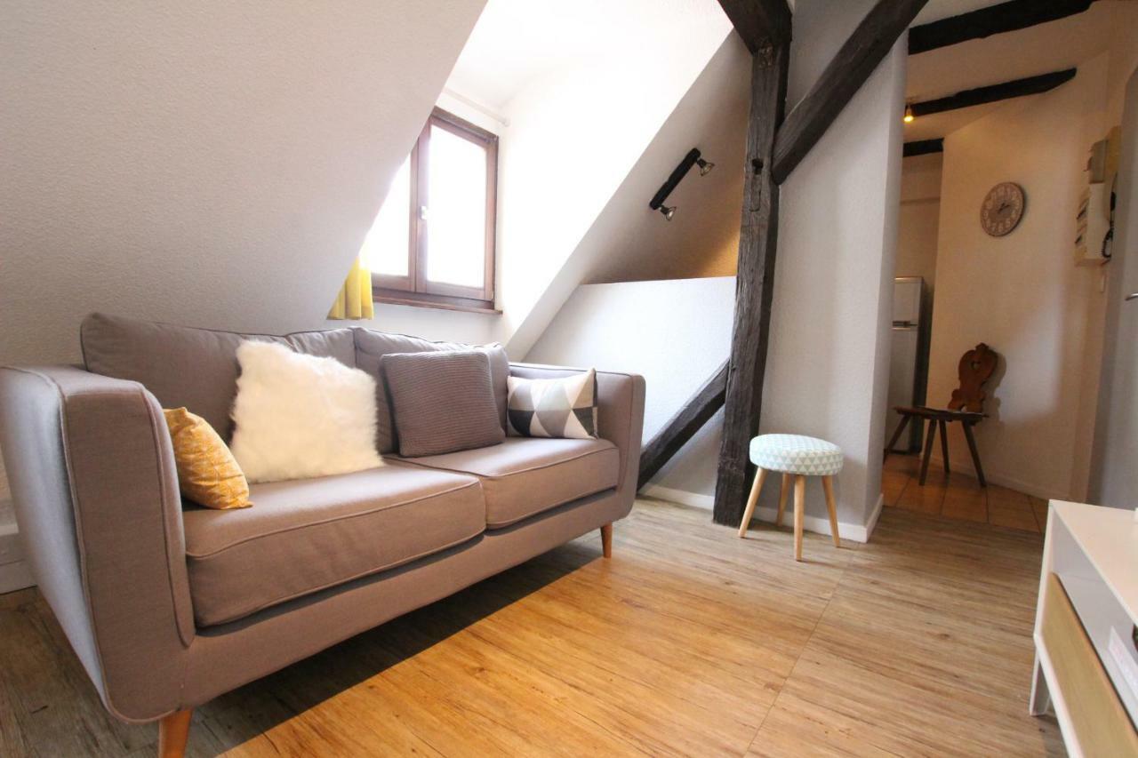 Colmar City Center - Appartement Petit Ours - Bookingalsace Екстер'єр фото
